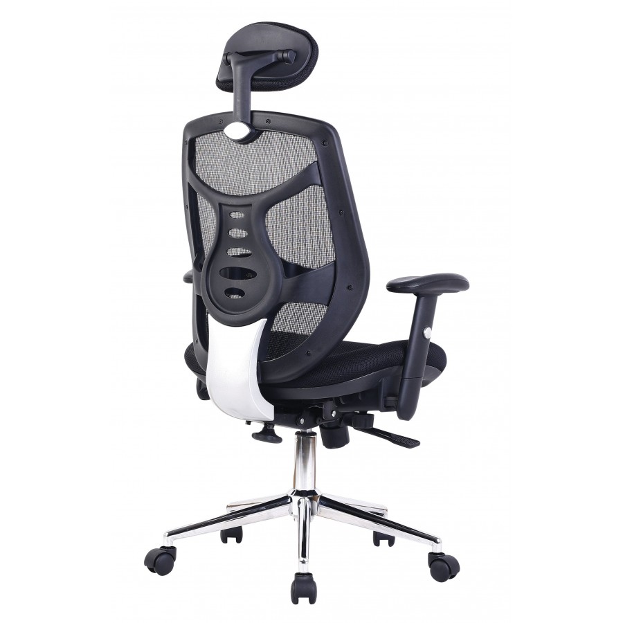 Polaris Mesh Executive Office Chair